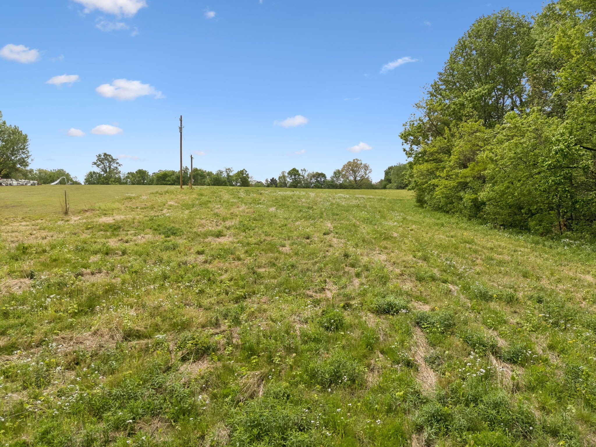 1059 Old Railroad Bed Rd Property Photo 31