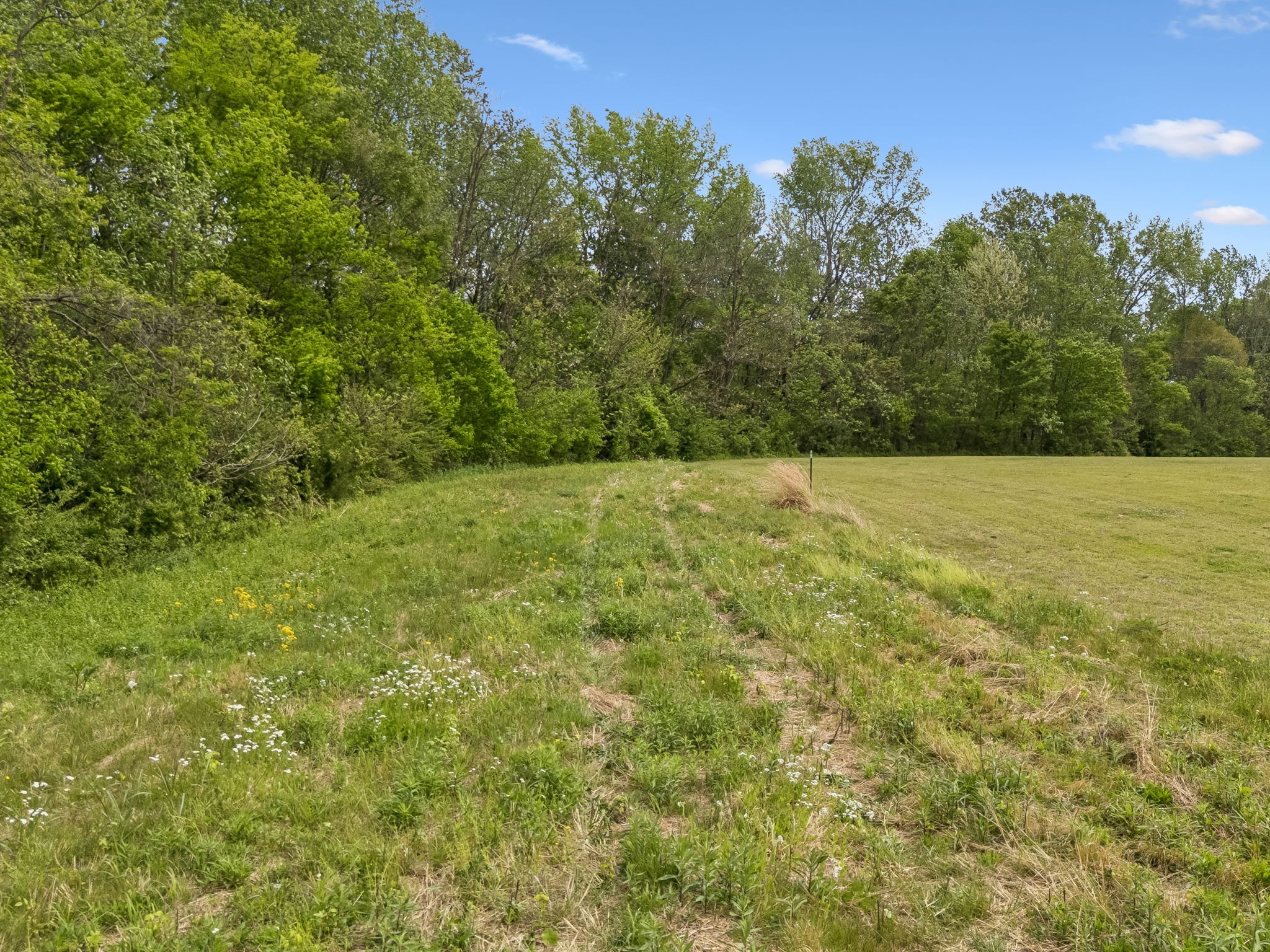1059 Old Railroad Bed Rd Property Photo 32