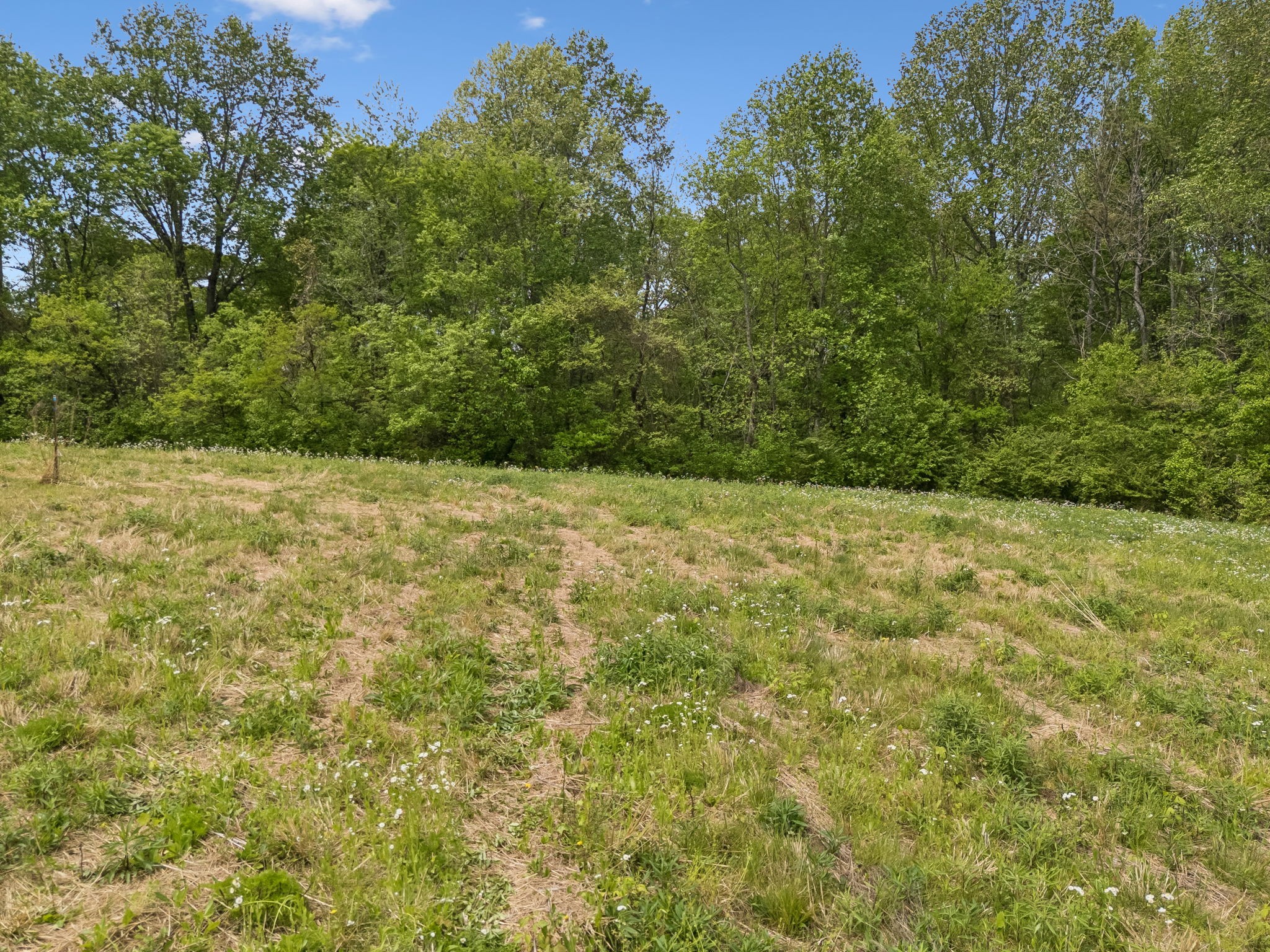 1059 Old Railroad Bed Rd Property Photo 33