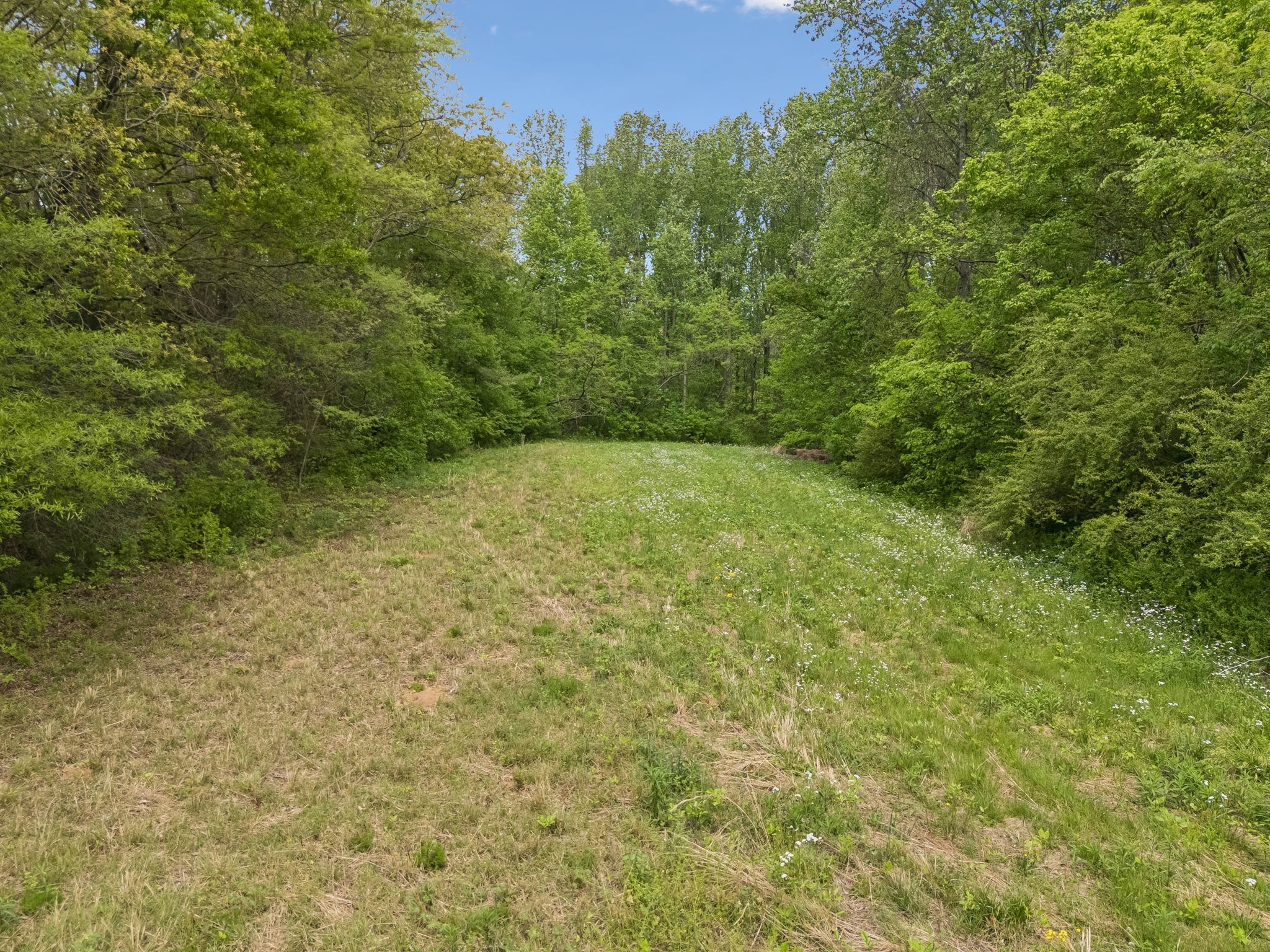 1059 Old Railroad Bed Rd Property Photo 37