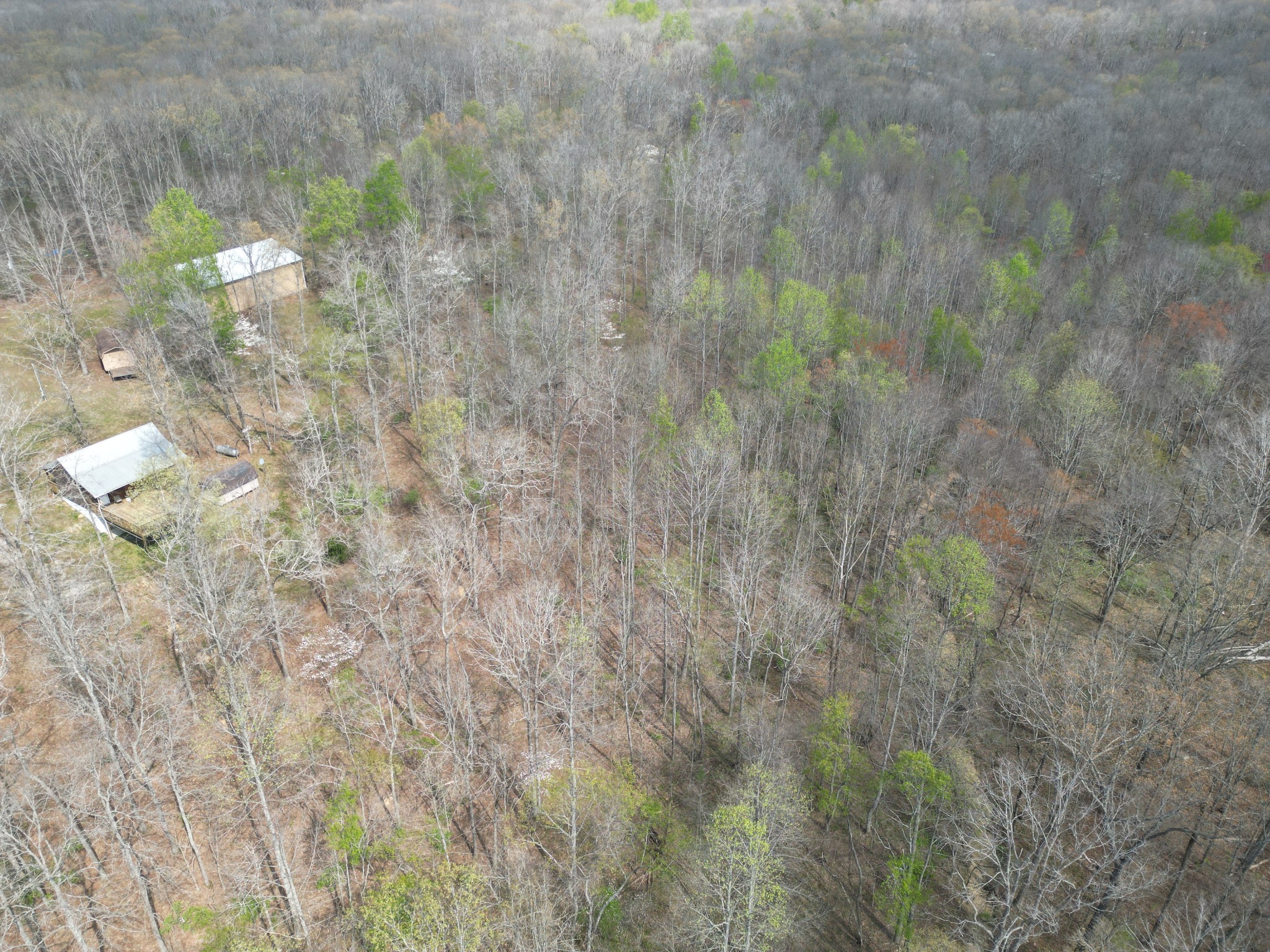 130 Trace View Dr Property Photo 23