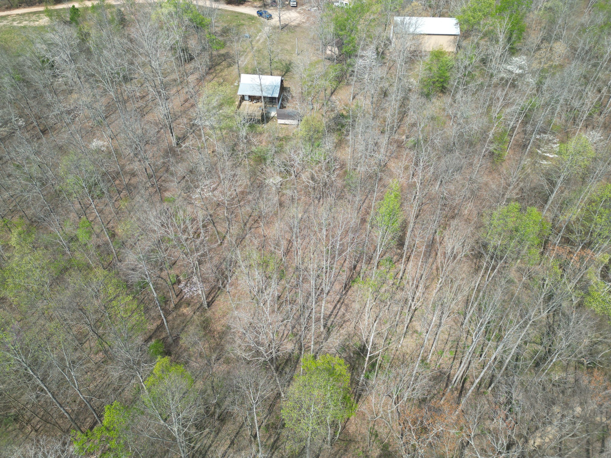 130 Trace View Dr Property Photo 24