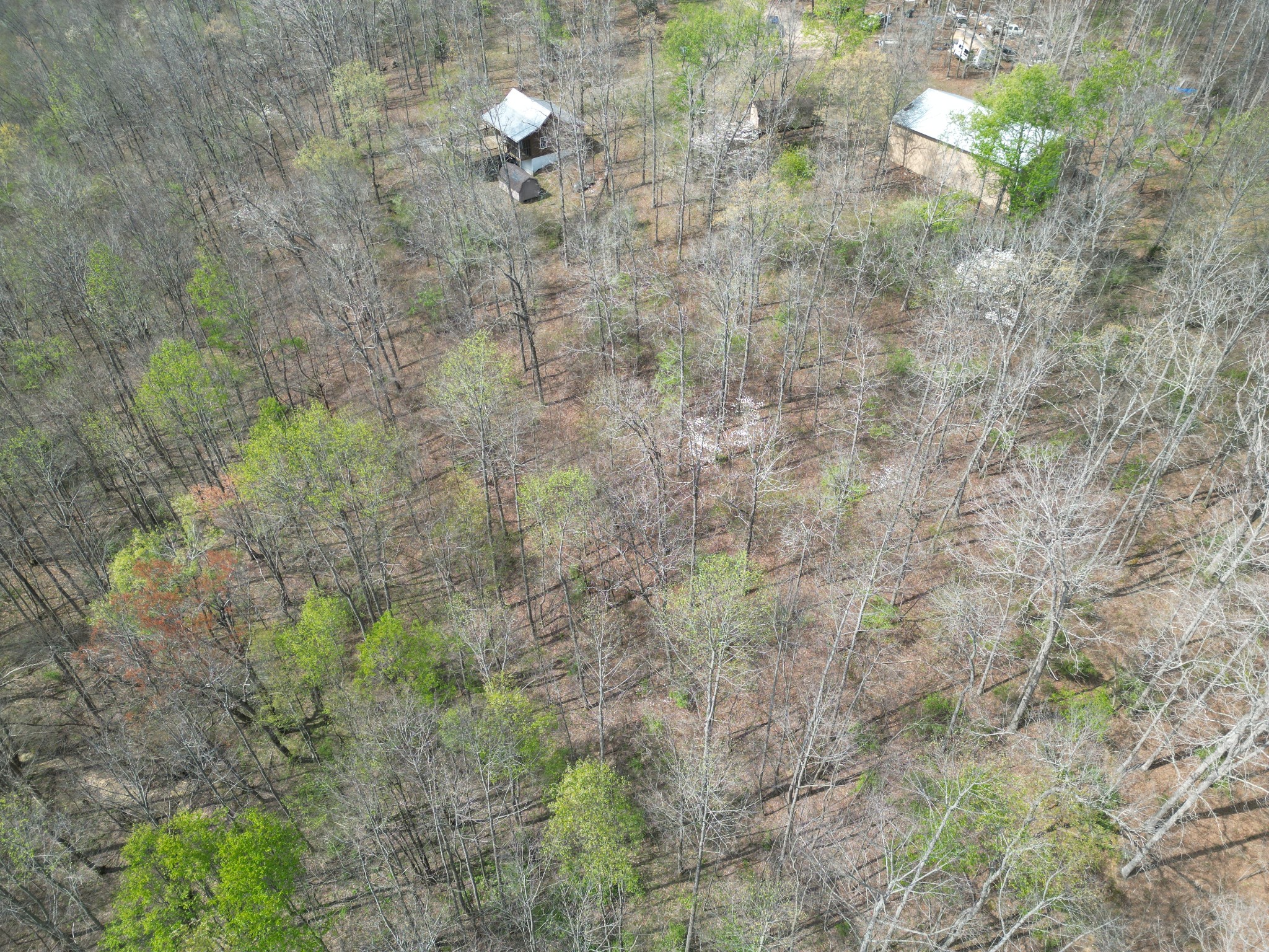 130 Trace View Dr Property Photo 25
