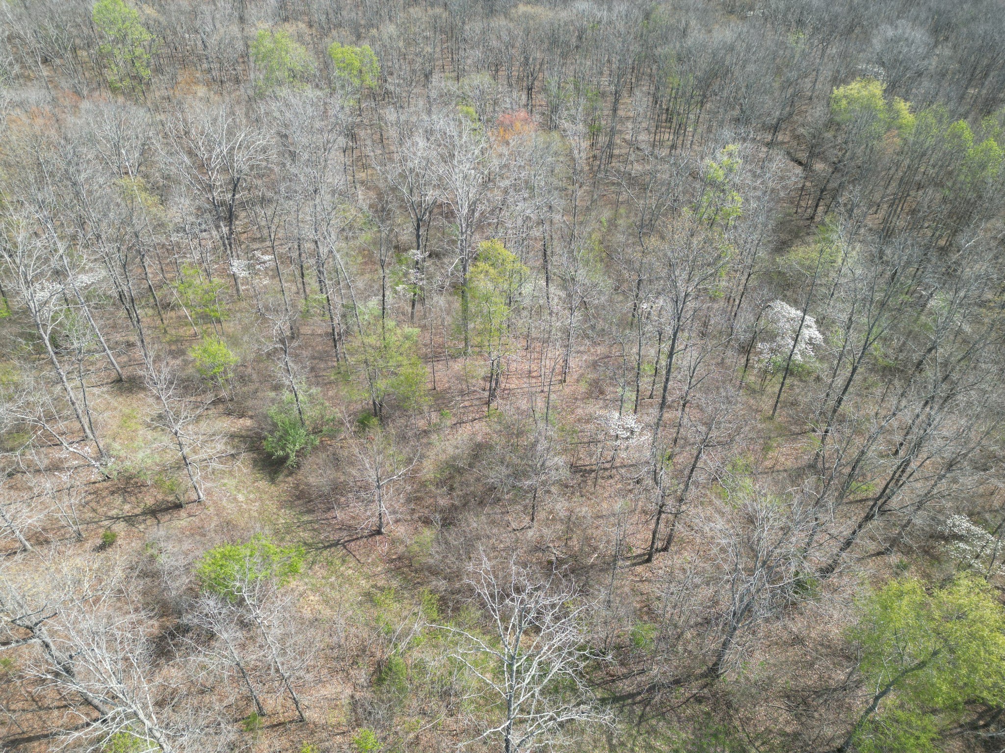 130 Trace View Dr Property Photo 27