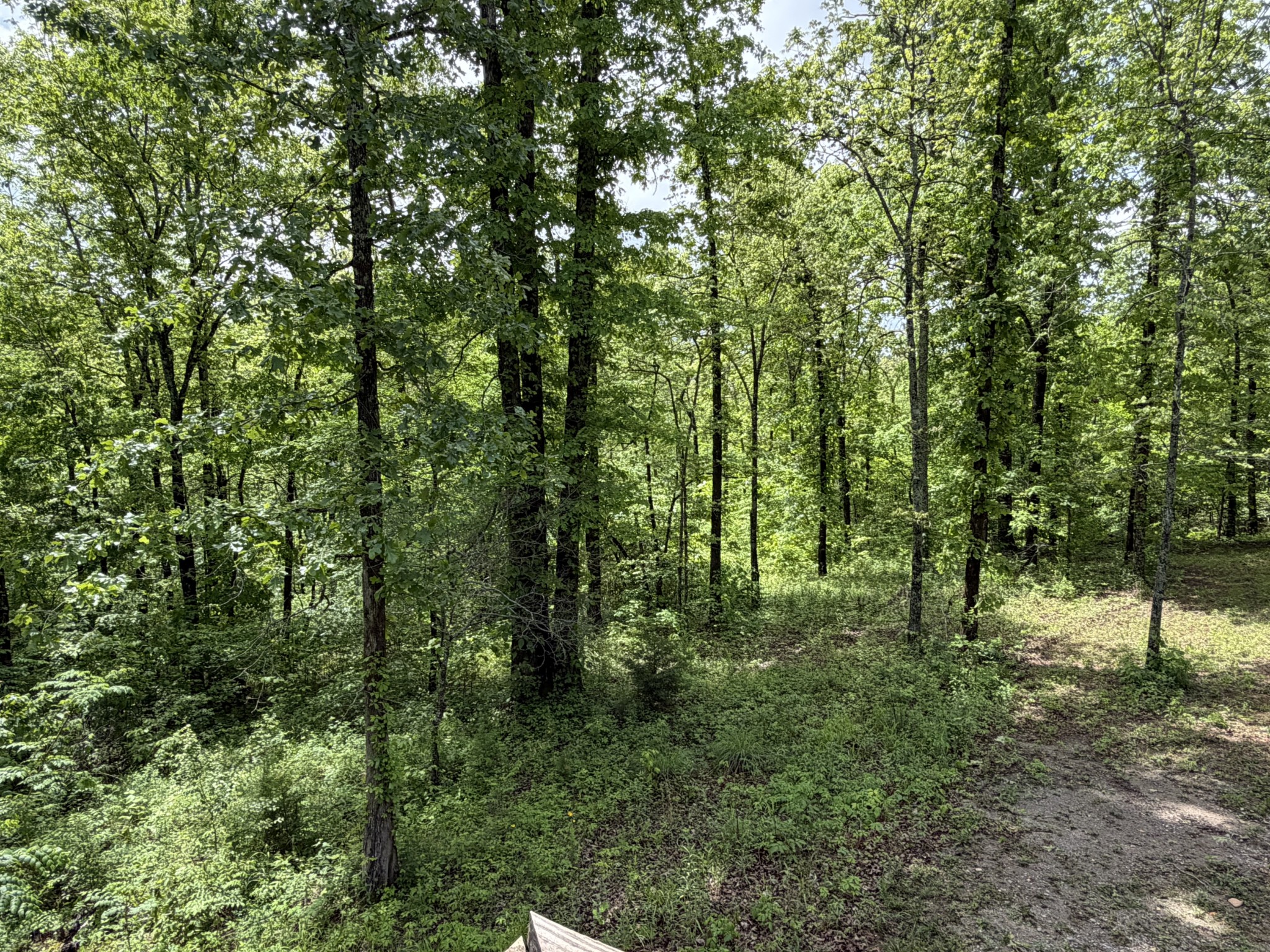 130 Trace View Dr Property Photo 83