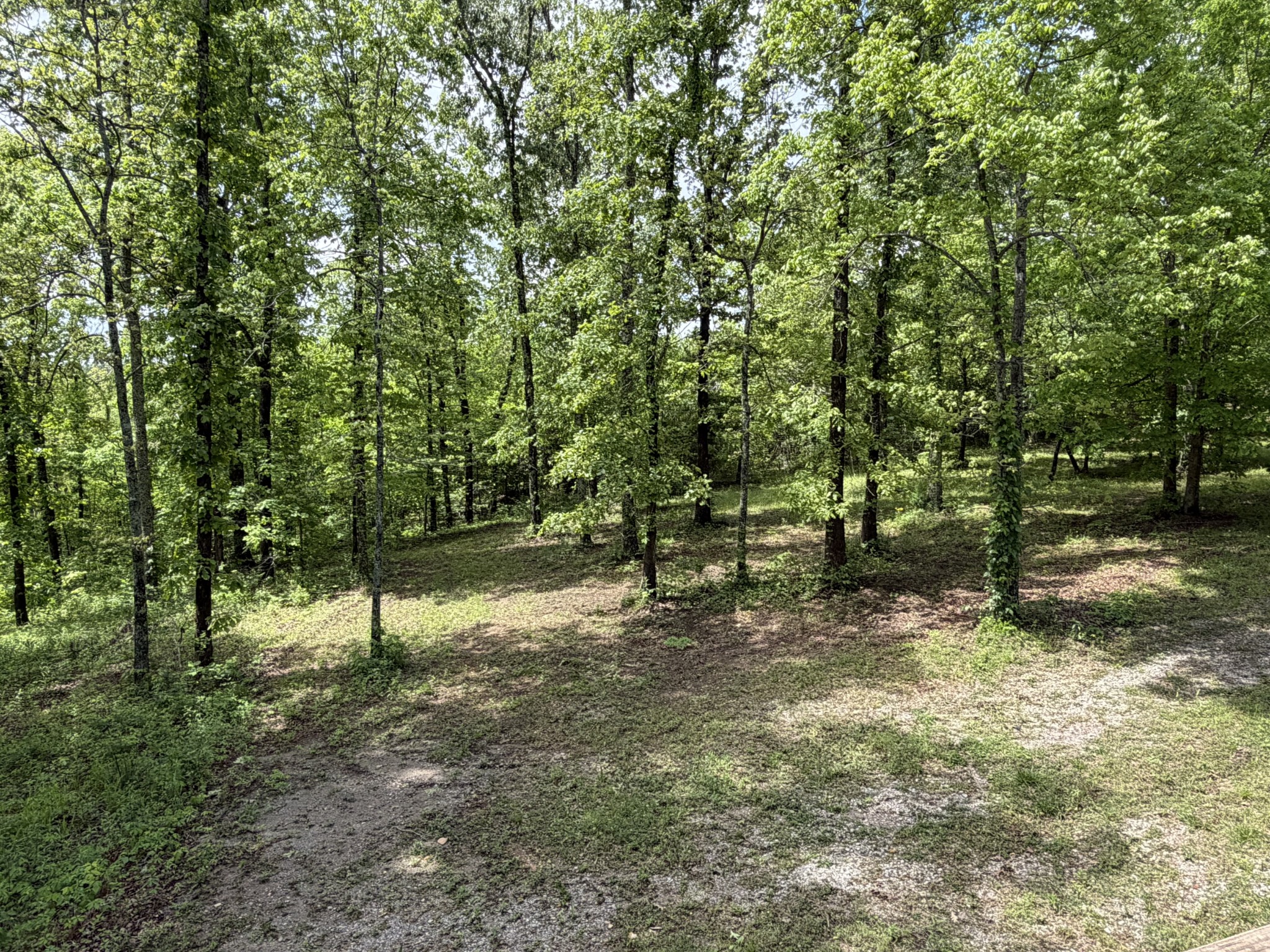 130 Trace View Dr Property Photo 84