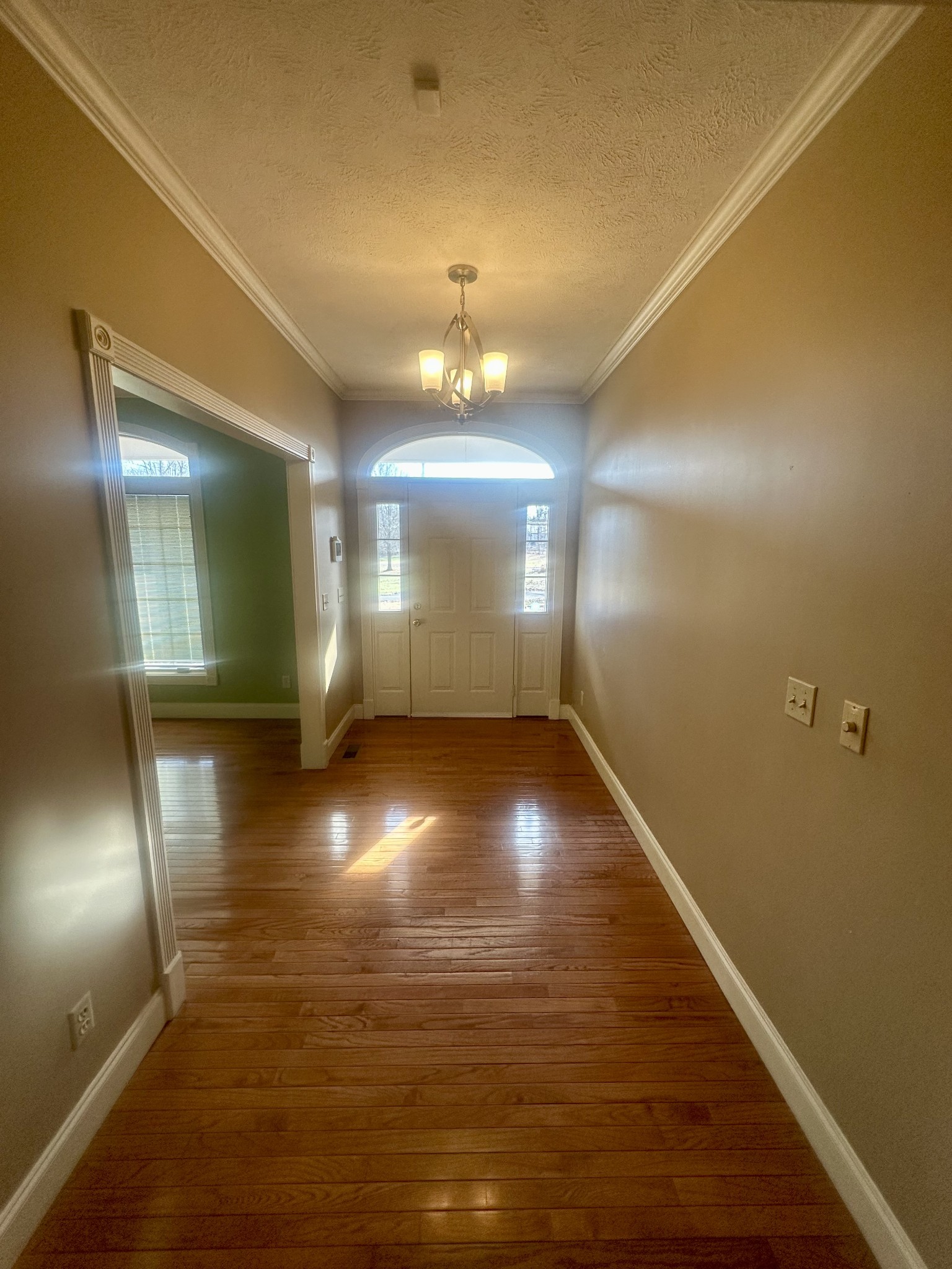 25 Max Dr Property Photo 15