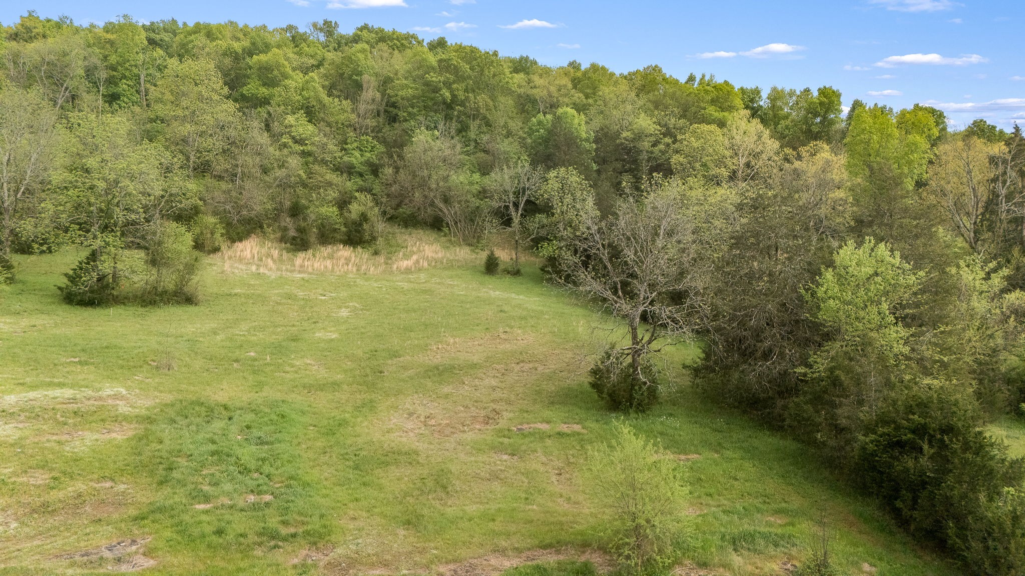 1036 Locke Creek Rd Property Photo 6