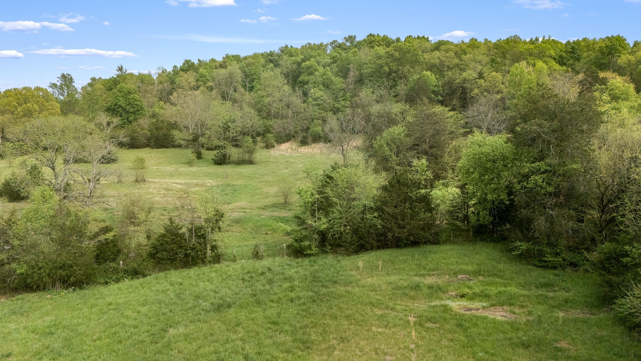1036 Locke Creek Rd Property Photo 7