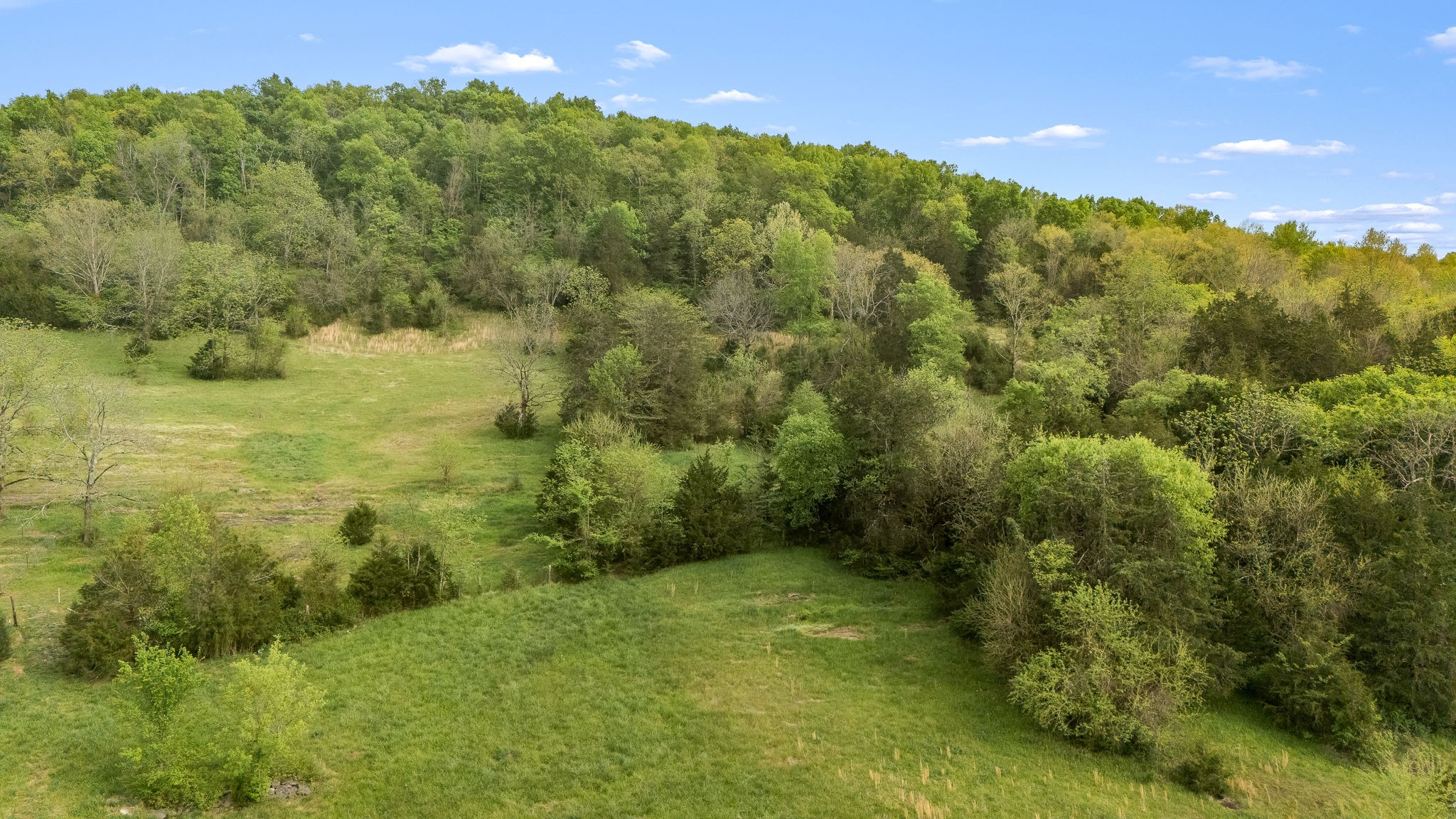 1036 Locke Creek Rd Property Photo 8