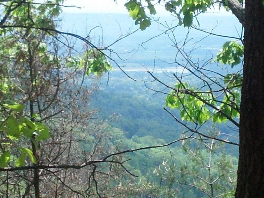 0 Sequatchie Mountain Road Property Photo 3