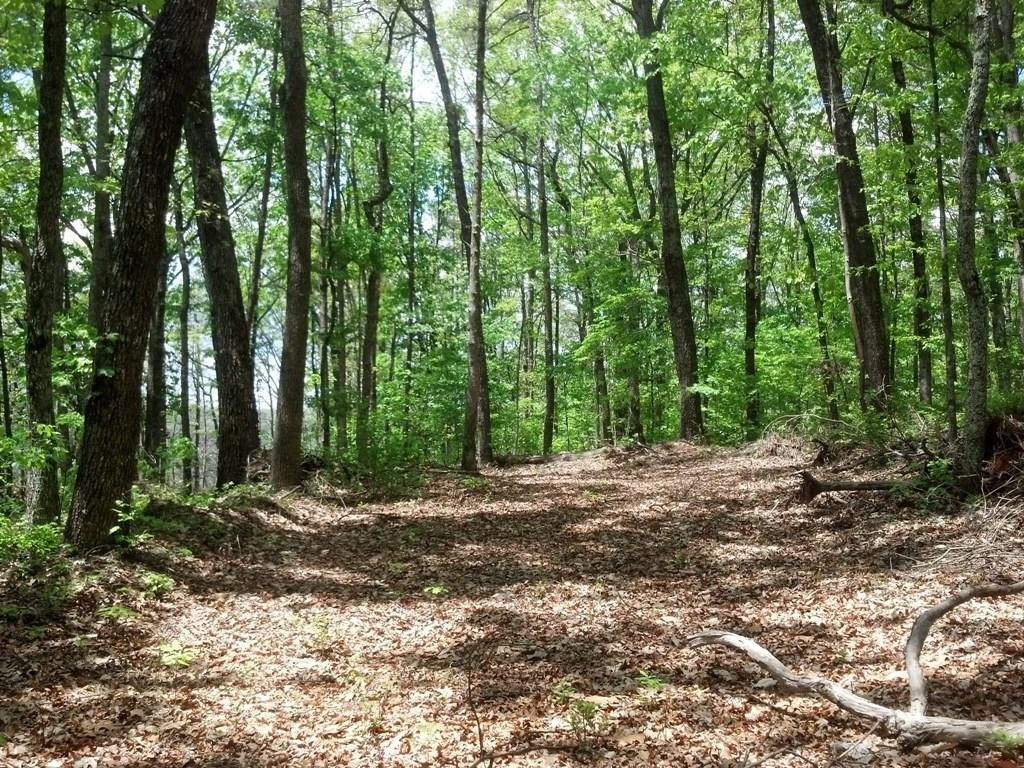 0 Sequatchie Mountain Road Property Photo 5