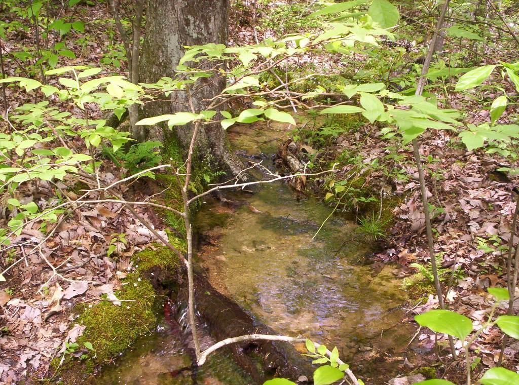 0 Sequatchie Mountain Road Property Photo 6