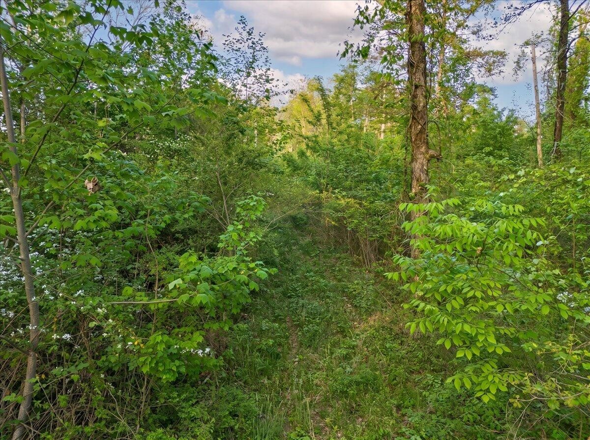 0 Sequatchie Mountain Road Property Photo 8