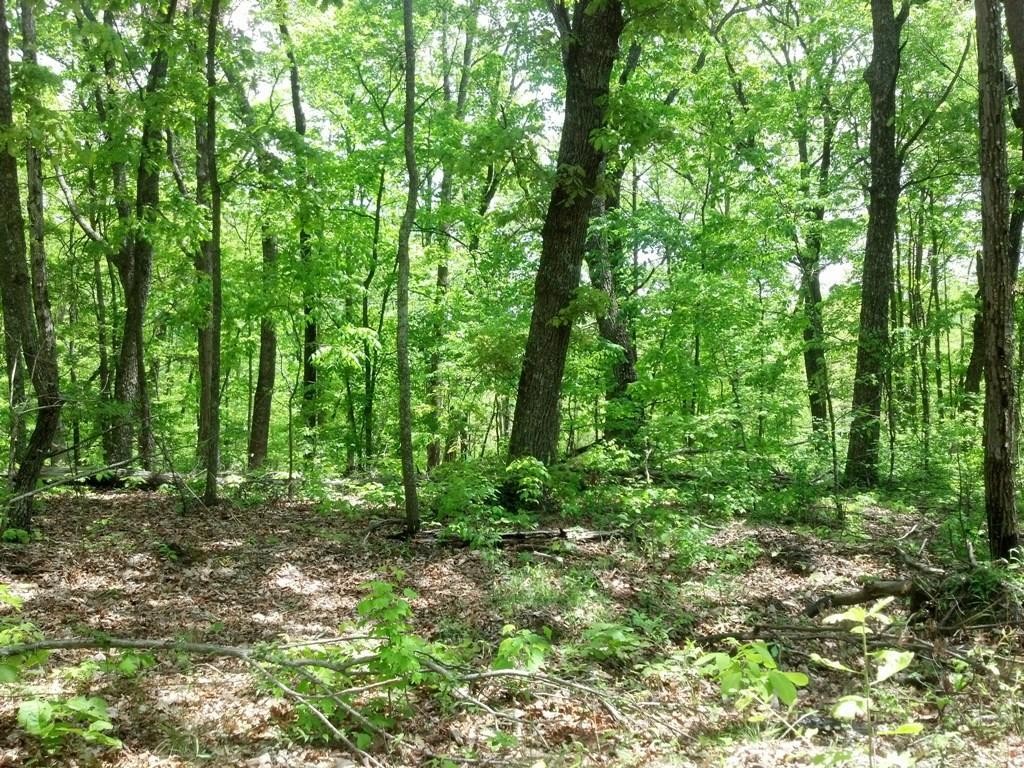 0 Sequatchie Mountain Road Property Photo 9