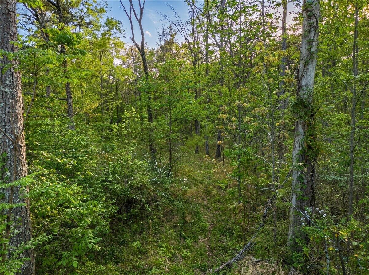 0 Sequatchie Mountain Road Property Photo 10