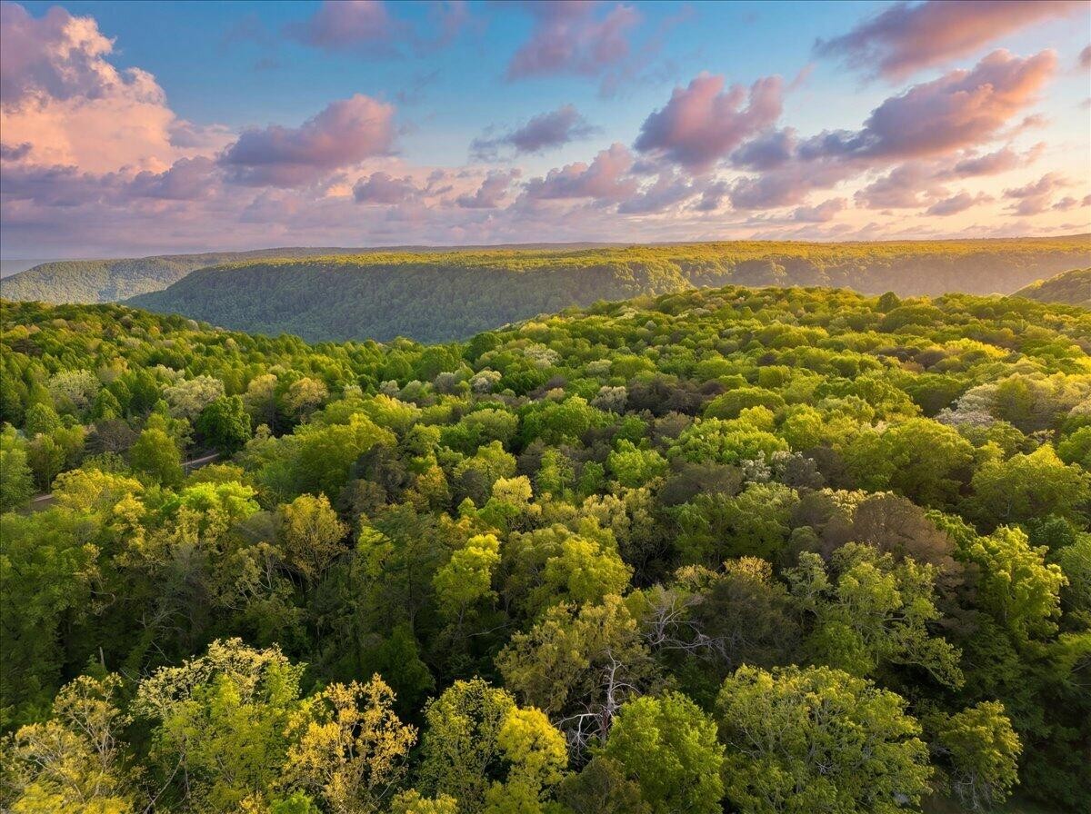 0 Sequatchie Mountain Road Property Photo 14