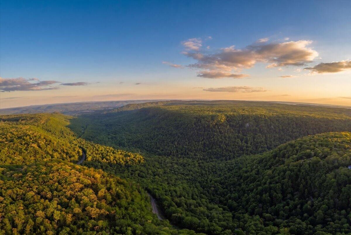 0 Sequatchie Mountain Road Property Photo 15