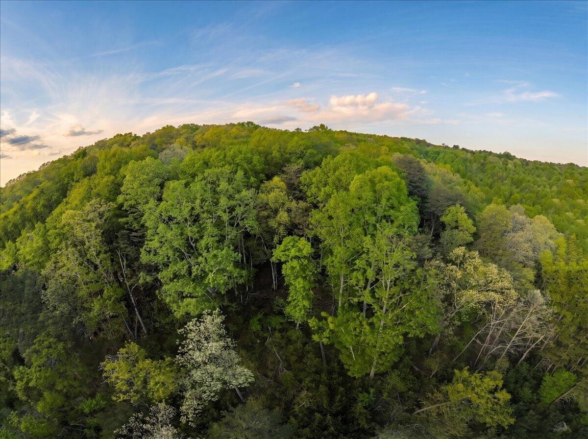 0 Sequatchie Mountain Road Property Photo 21