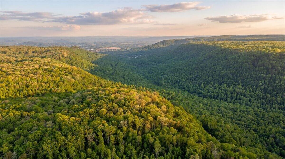 0 Sequatchie Mountain Road Property Photo 22