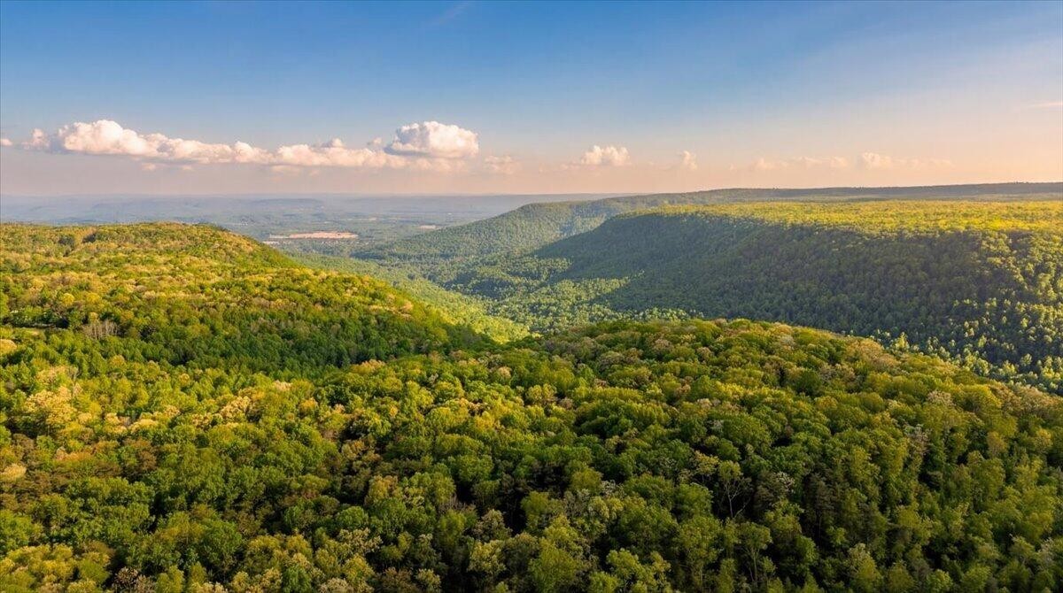 0 Sequatchie Mountain Road Property Photo 23