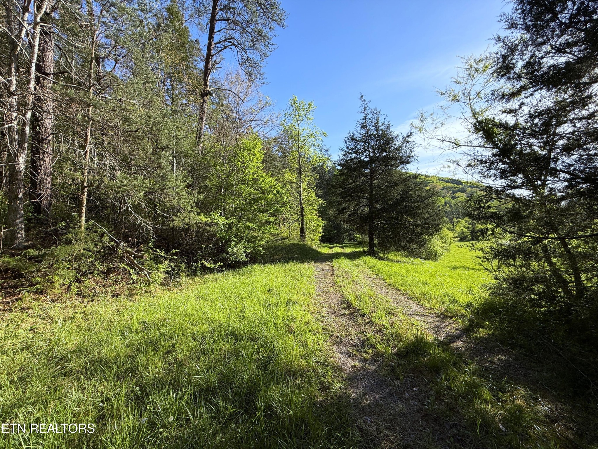 2930 Arch Way Property Photo 24