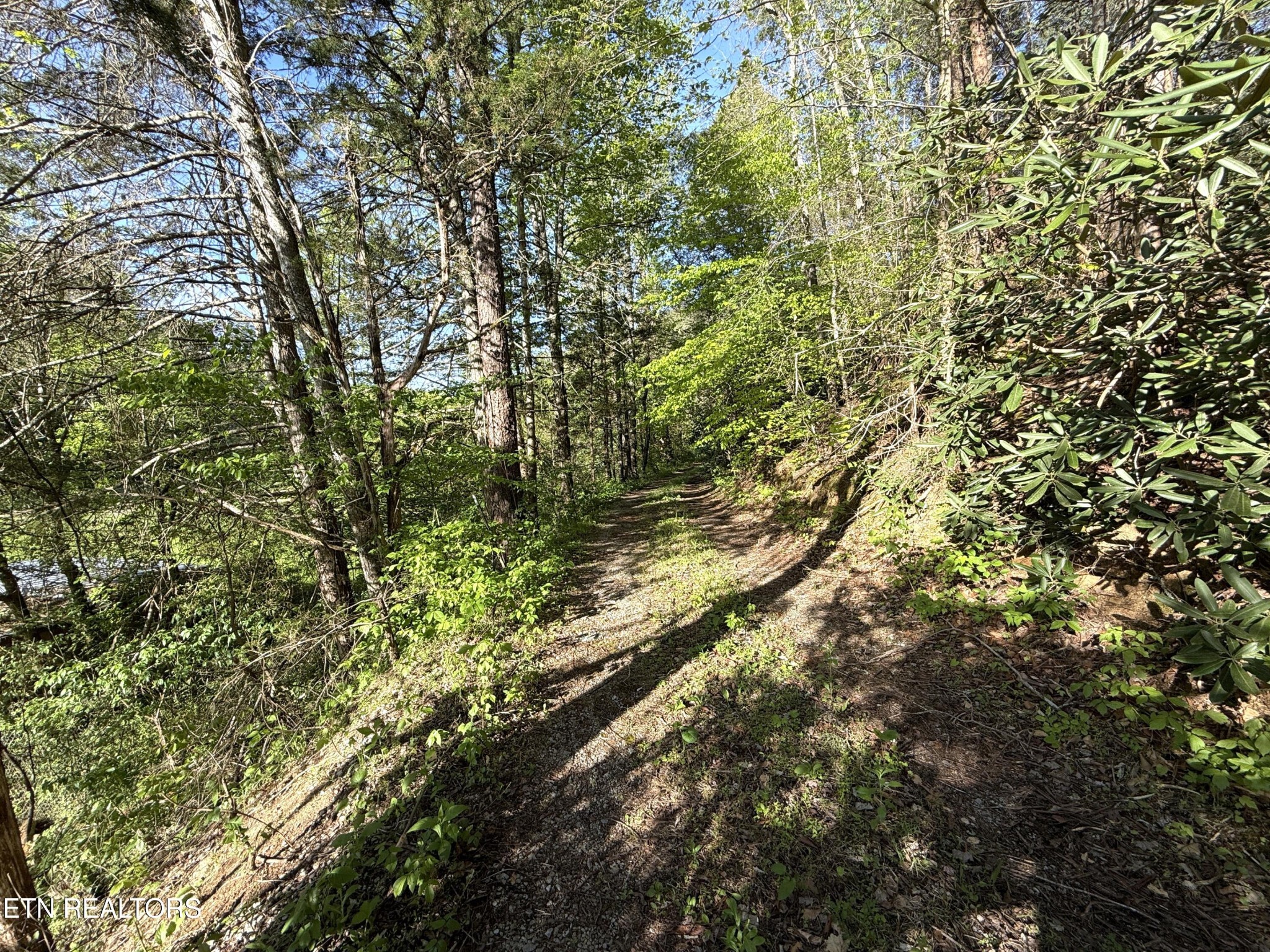 2930 Arch Way Property Photo 25