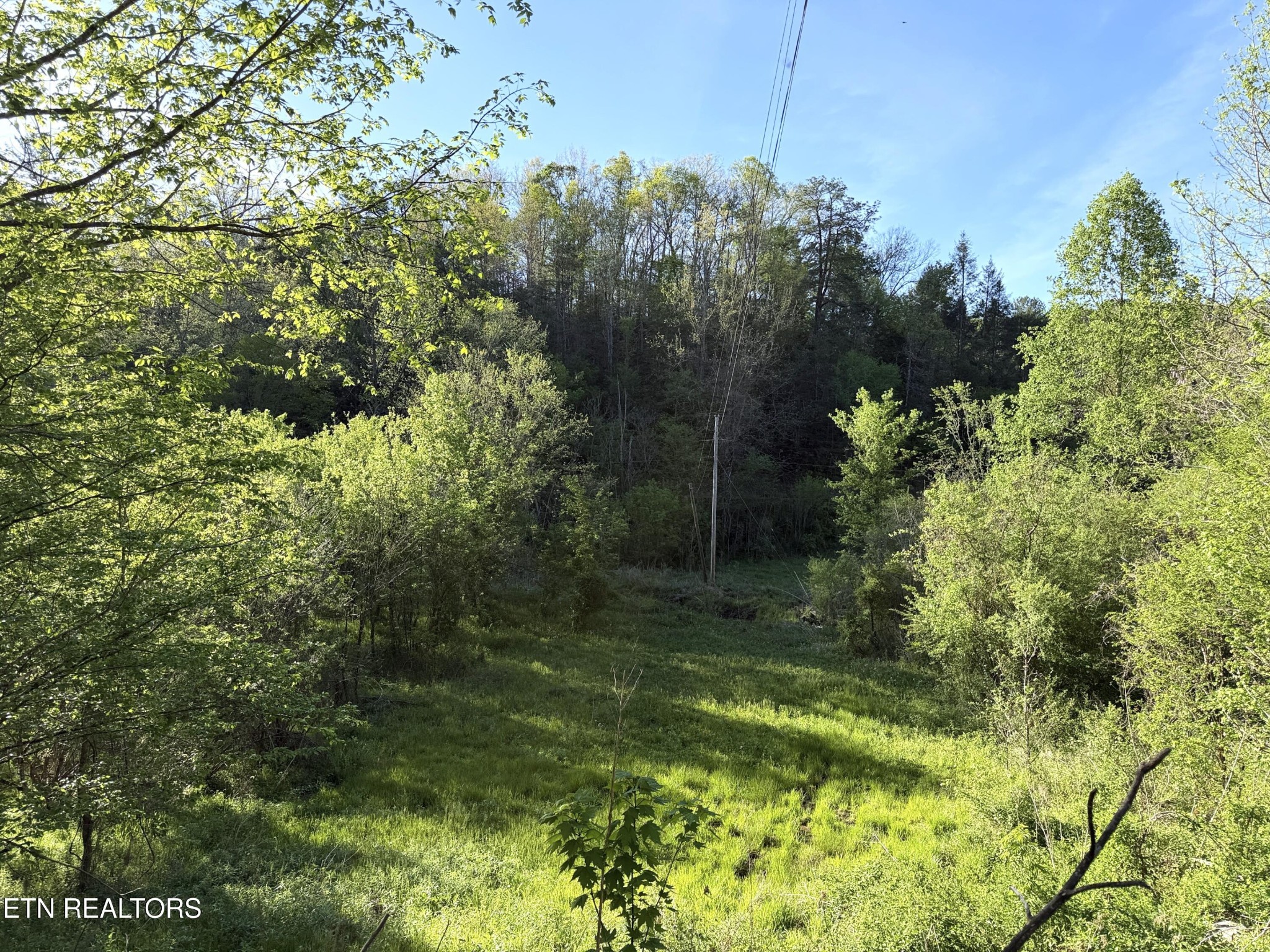 2930 Arch Way Property Photo 31