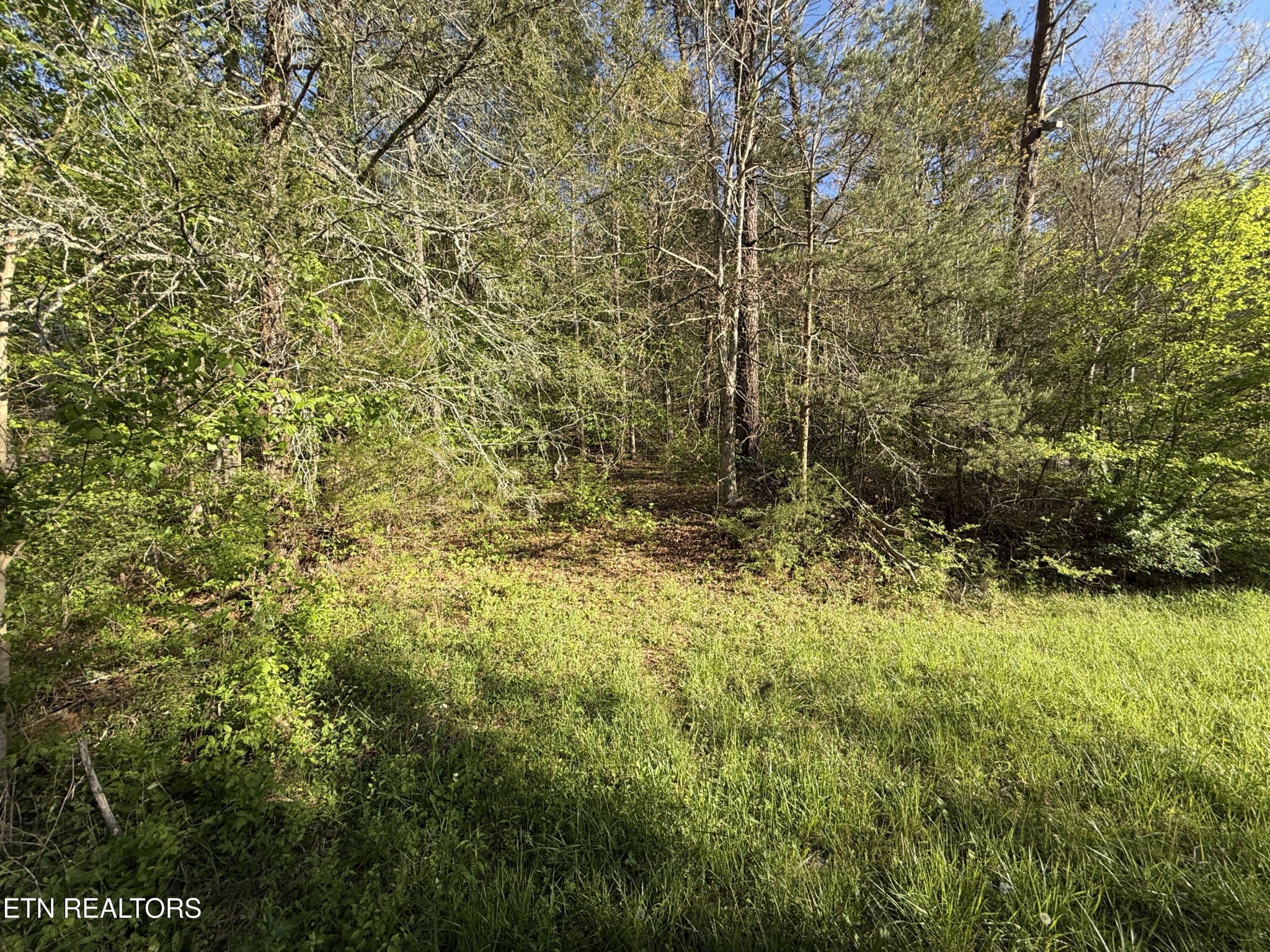 2930 Arch Way Property Photo 33