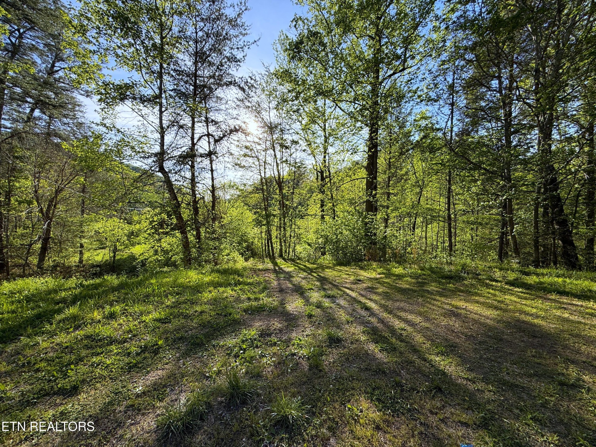 2930 Arch Way Property Photo 34