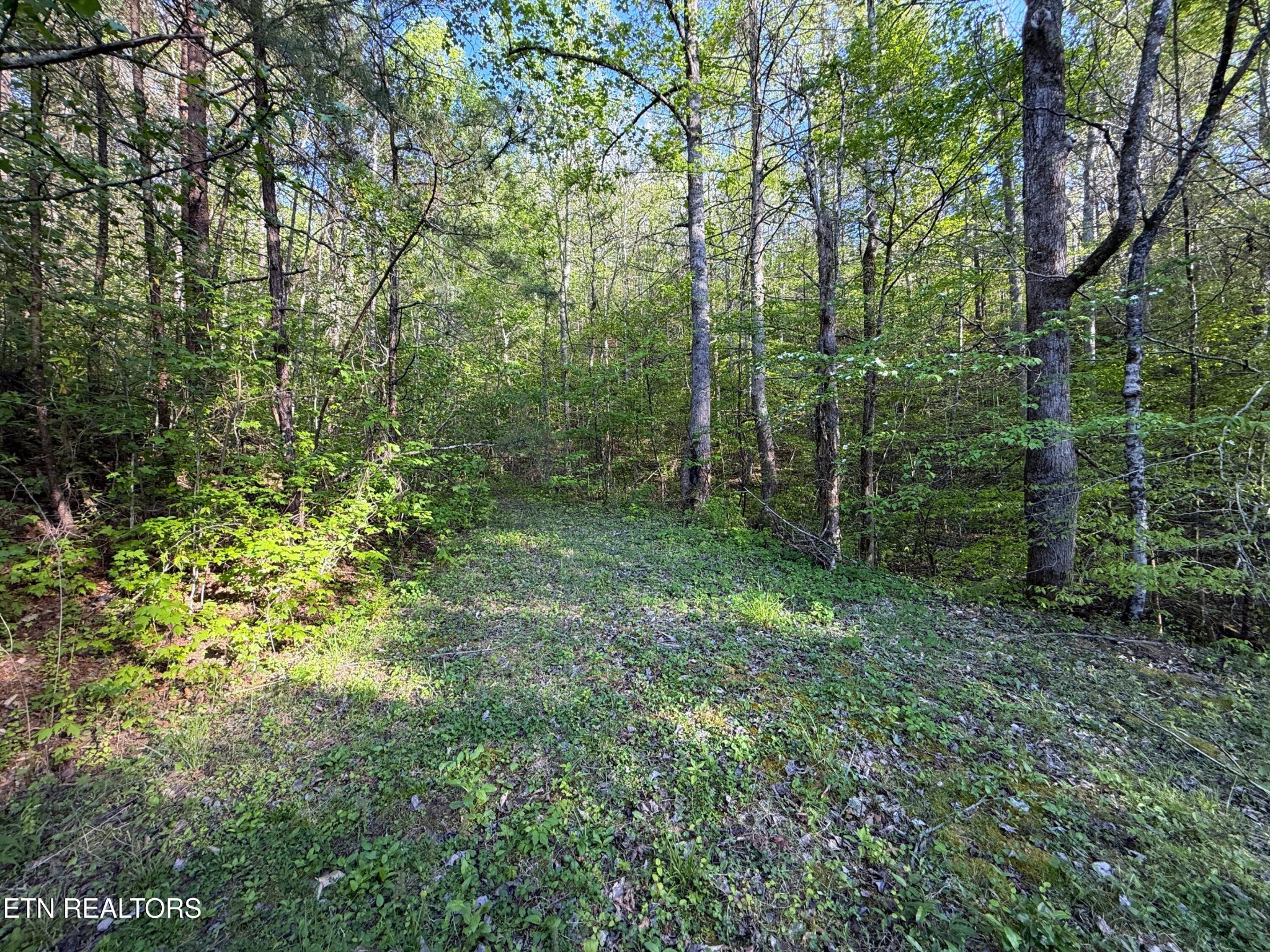 2930 Arch Way Property Photo 35