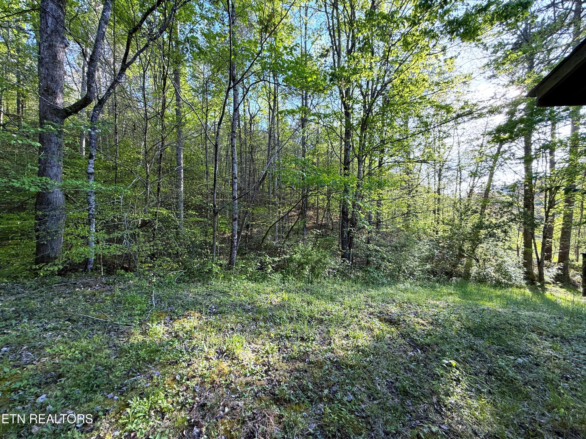 2930 Arch Way Property Photo 36