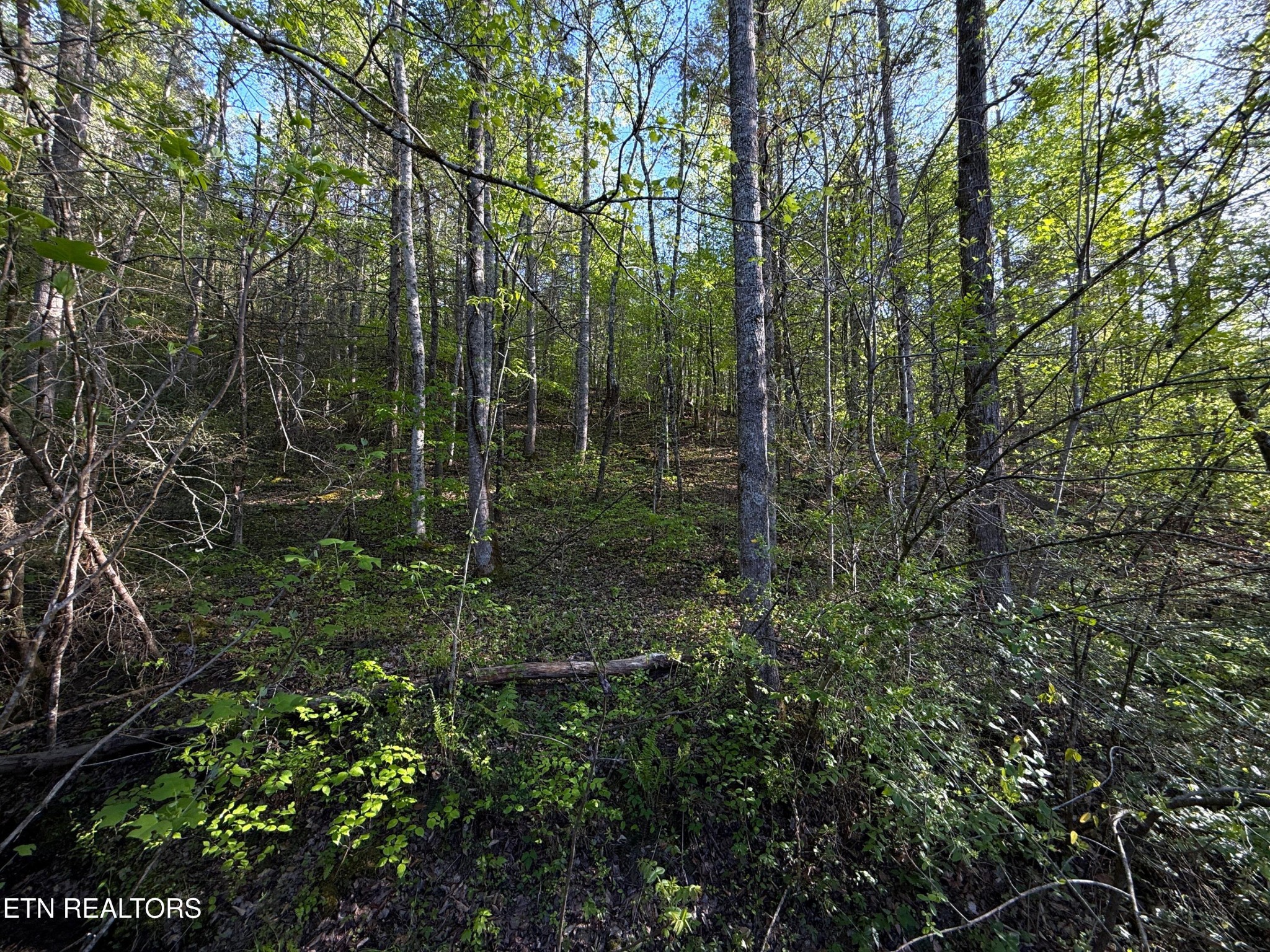 2930 Arch Way Property Photo 37