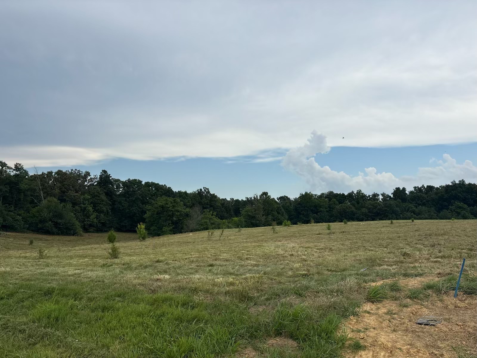 210 Nubia Rd Property Photo 1