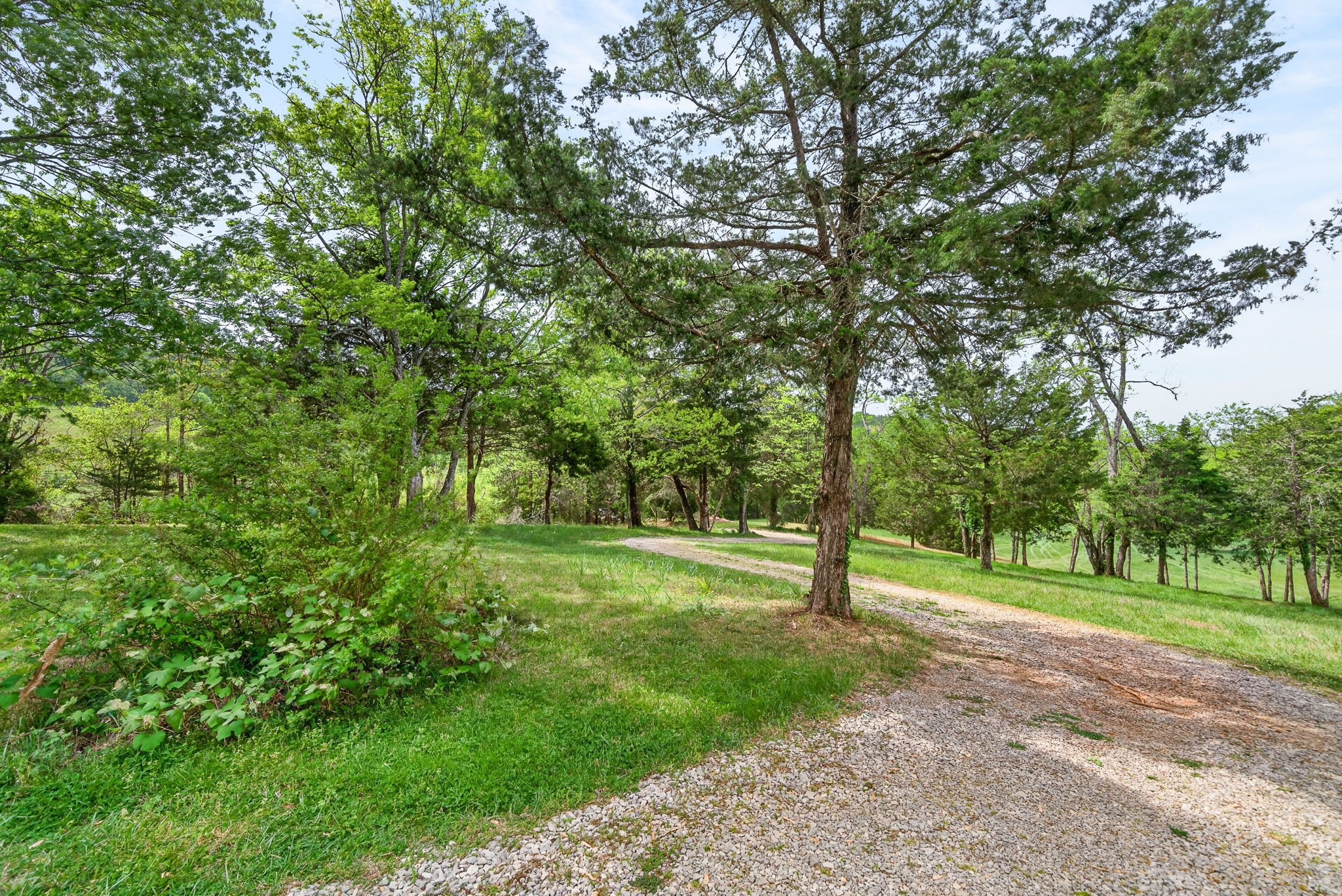 7400 Franks Ferry Rd Property Photo 29