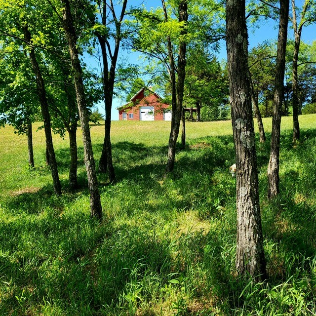 7400 Franks Ferry Rd Property Photo 47