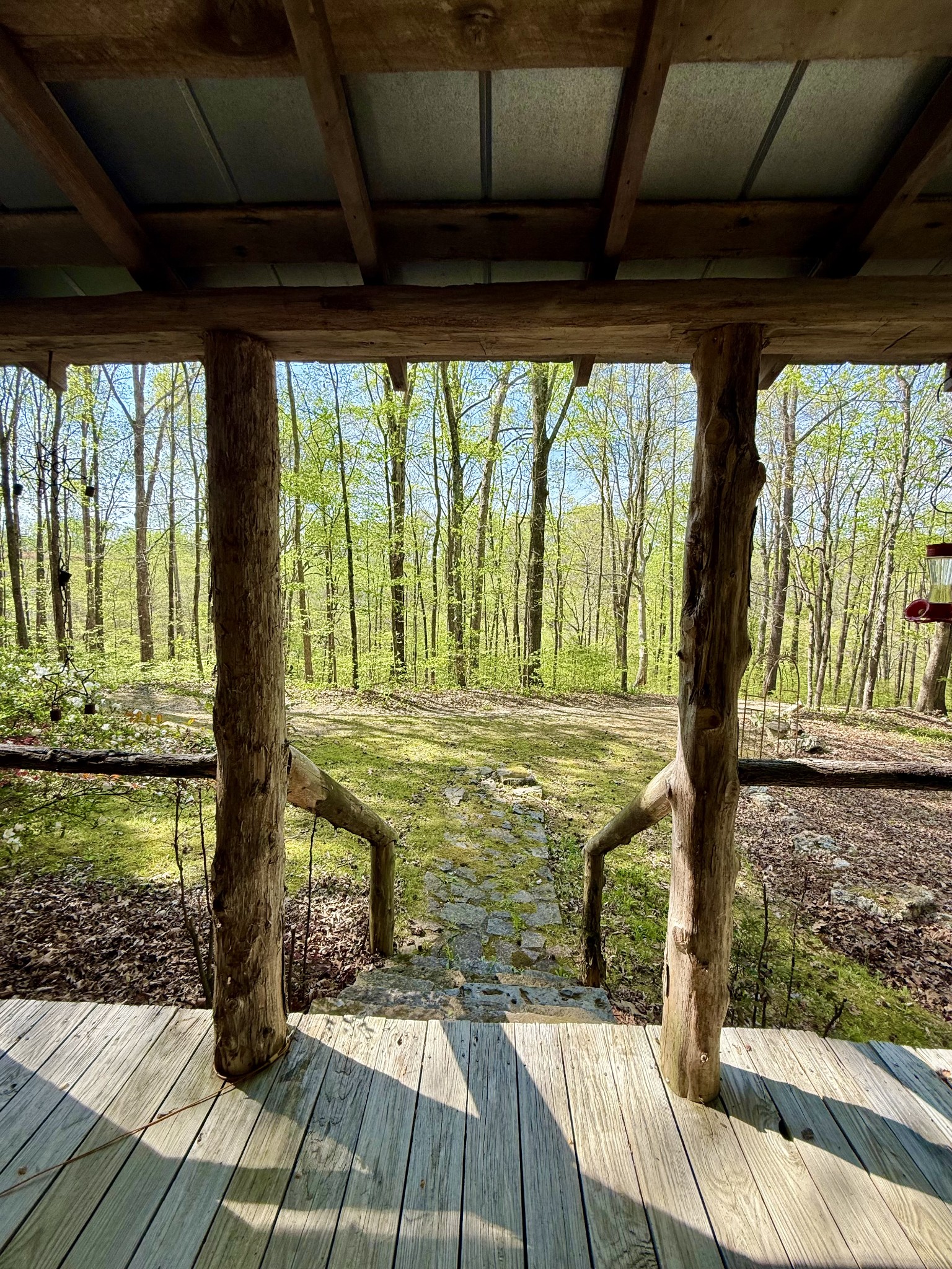 562 Junus Jackson Hollow Rd Property Photo 3