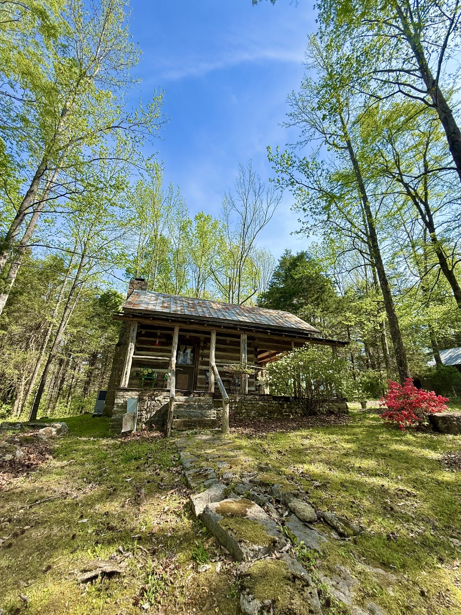 562 Junus Jackson Hollow Rd Property Photo 5