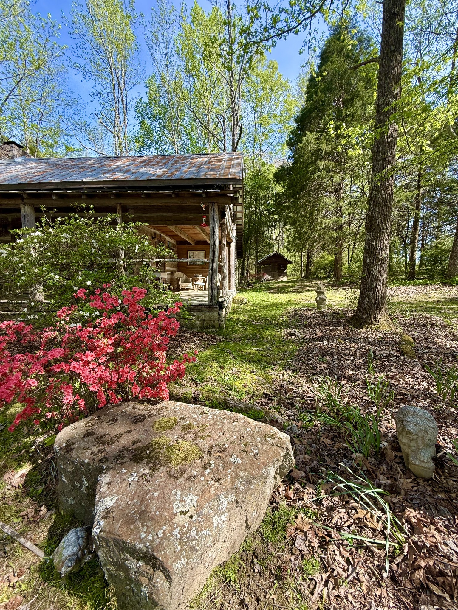 562 Junus Jackson Hollow Rd Property Photo 9