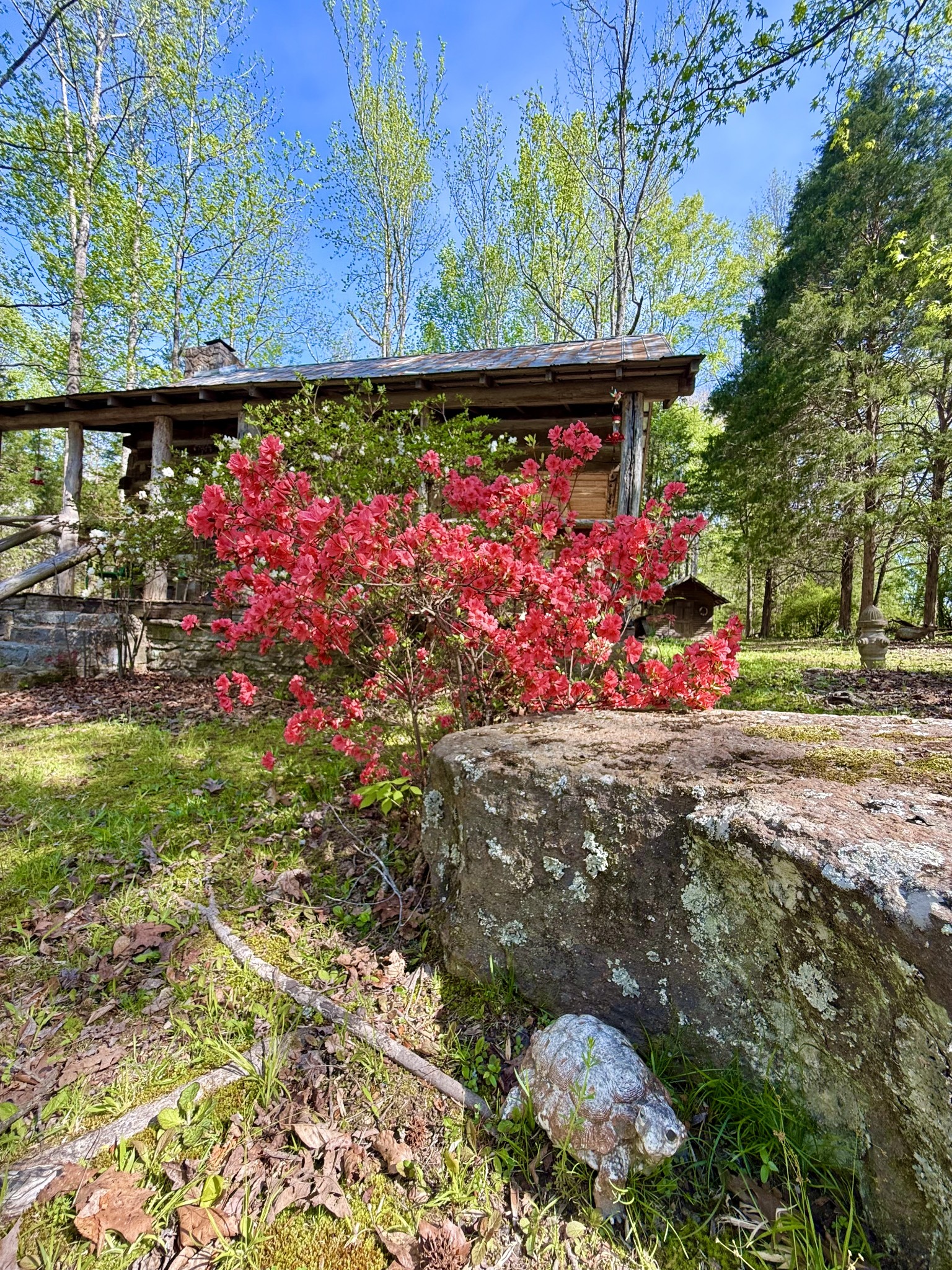 562 Junus Jackson Hollow Rd Property Photo 10