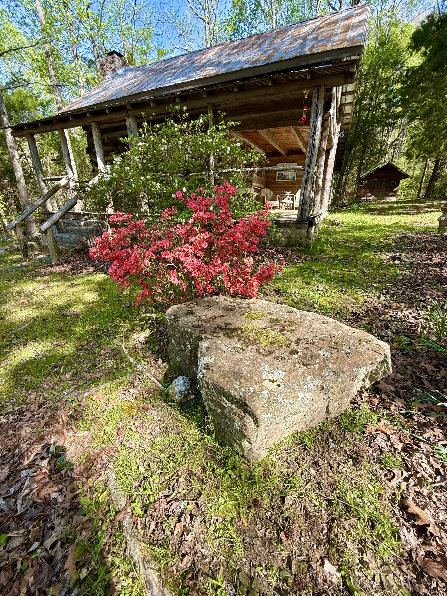 562 Junus Jackson Hollow Rd Property Photo 12