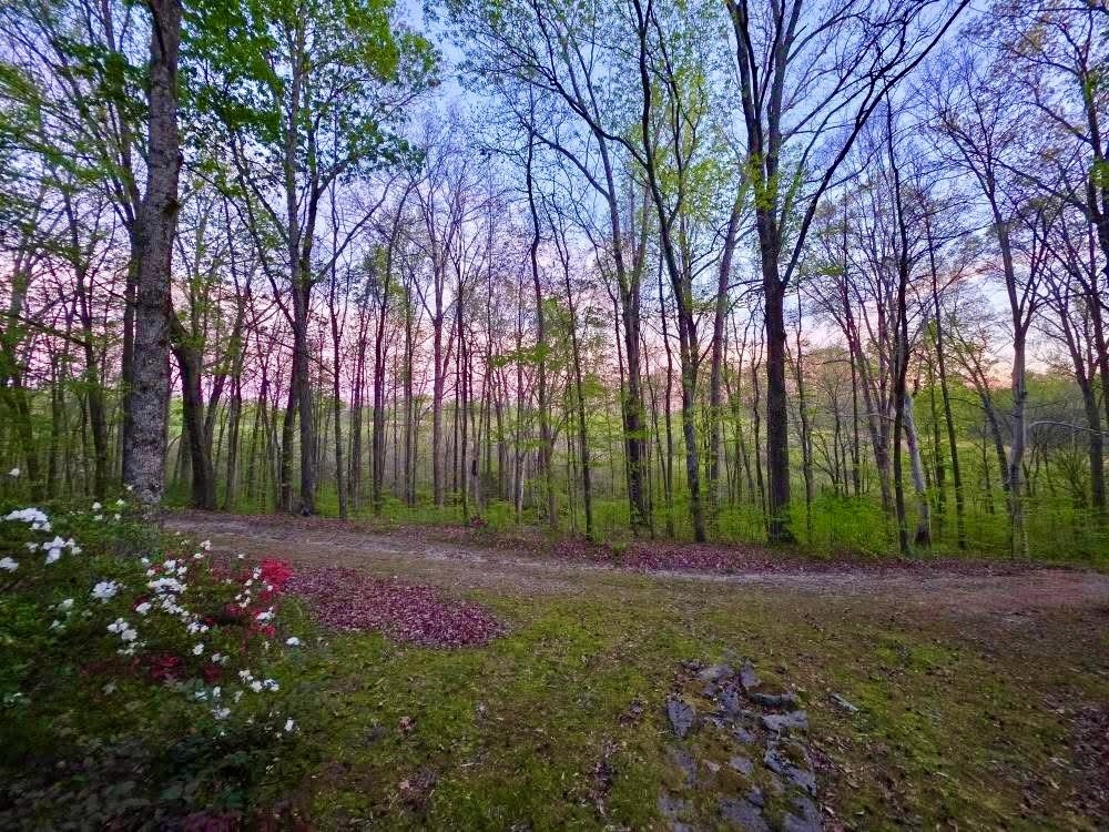 562 Junus Jackson Hollow Rd Property Photo 16