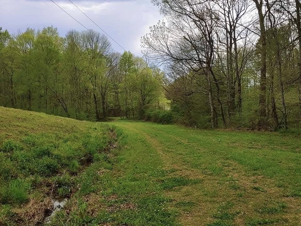 562 Junus Jackson Hollow Rd Property Photo 17