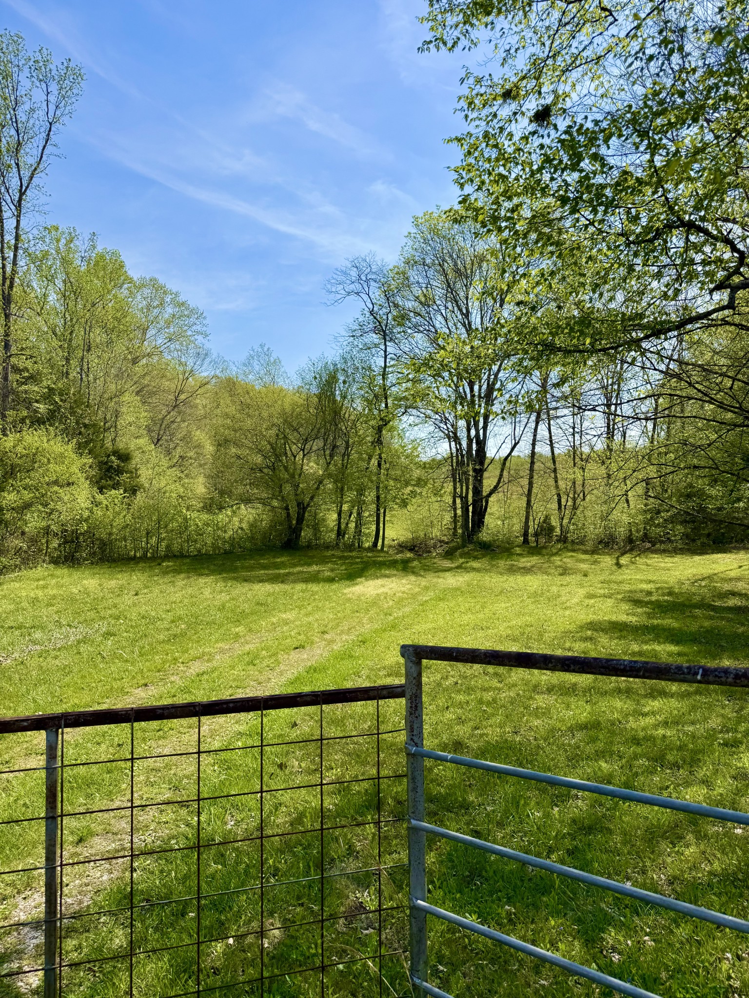 562 Junus Jackson Hollow Rd Property Photo 19
