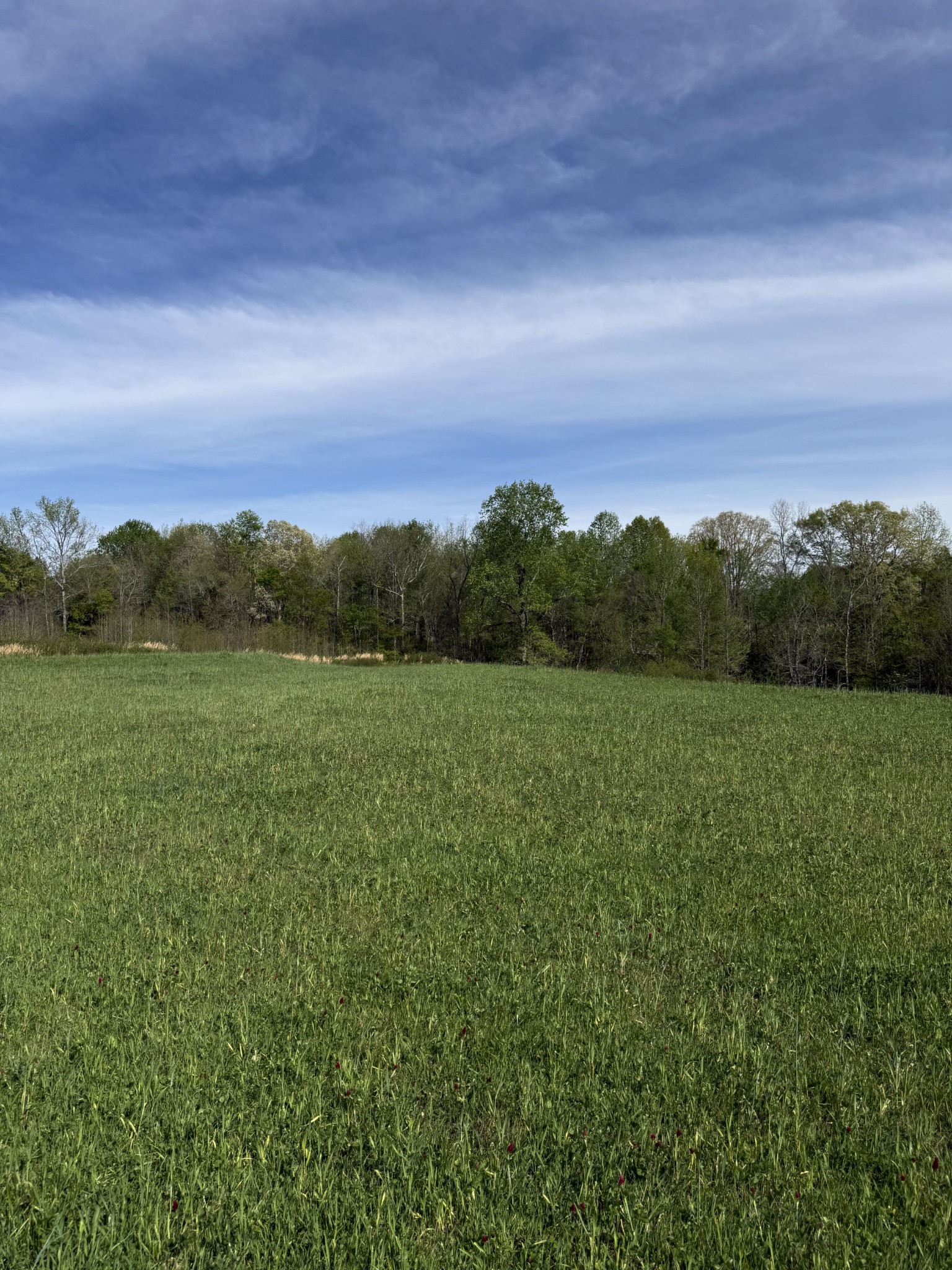 562 Junus Jackson Hollow Rd Property Photo 20
