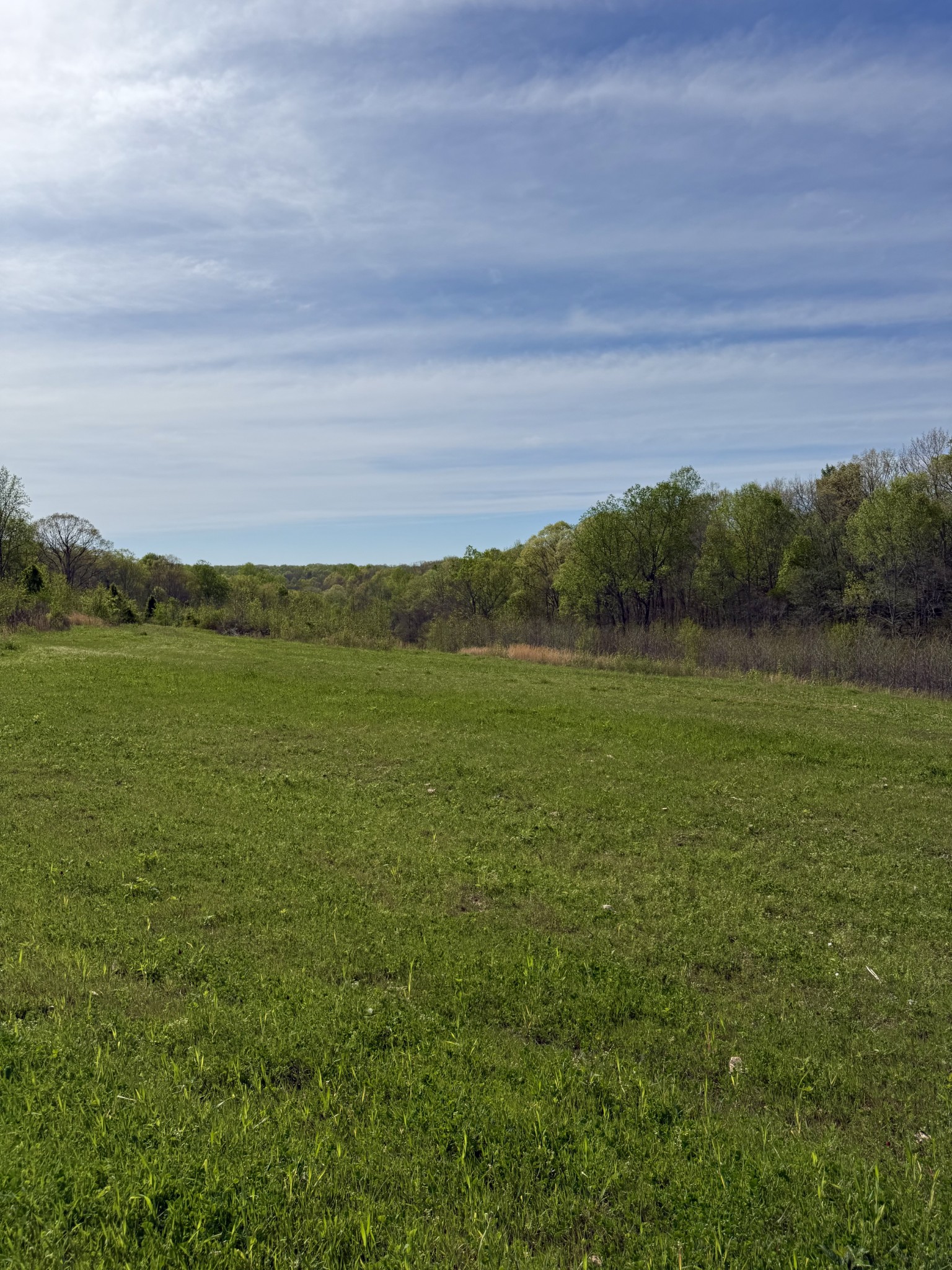 562 Junus Jackson Hollow Rd Property Photo 21