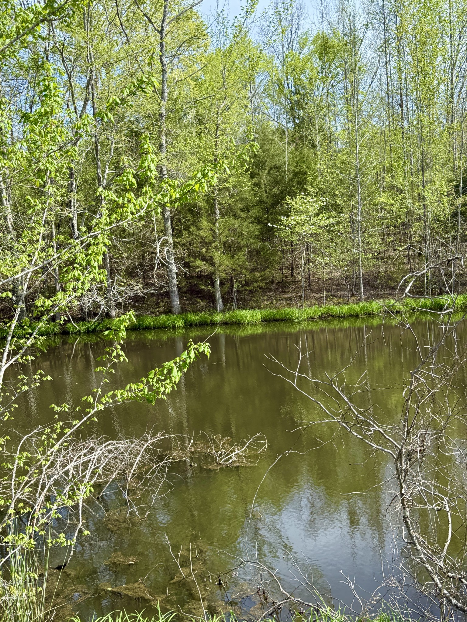562 Junus Jackson Hollow Rd Property Photo 24