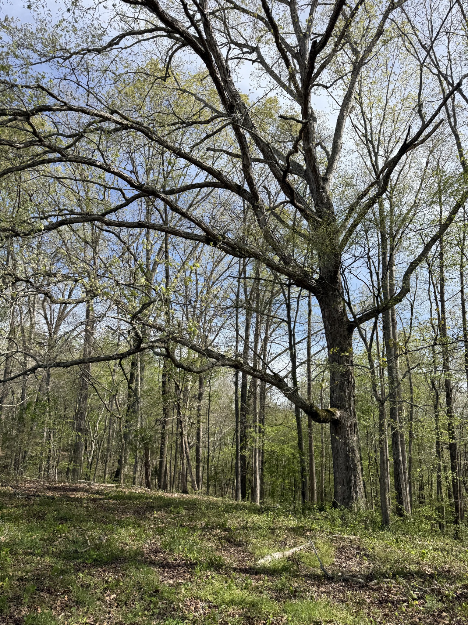 562 Junus Jackson Hollow Rd Property Photo 30