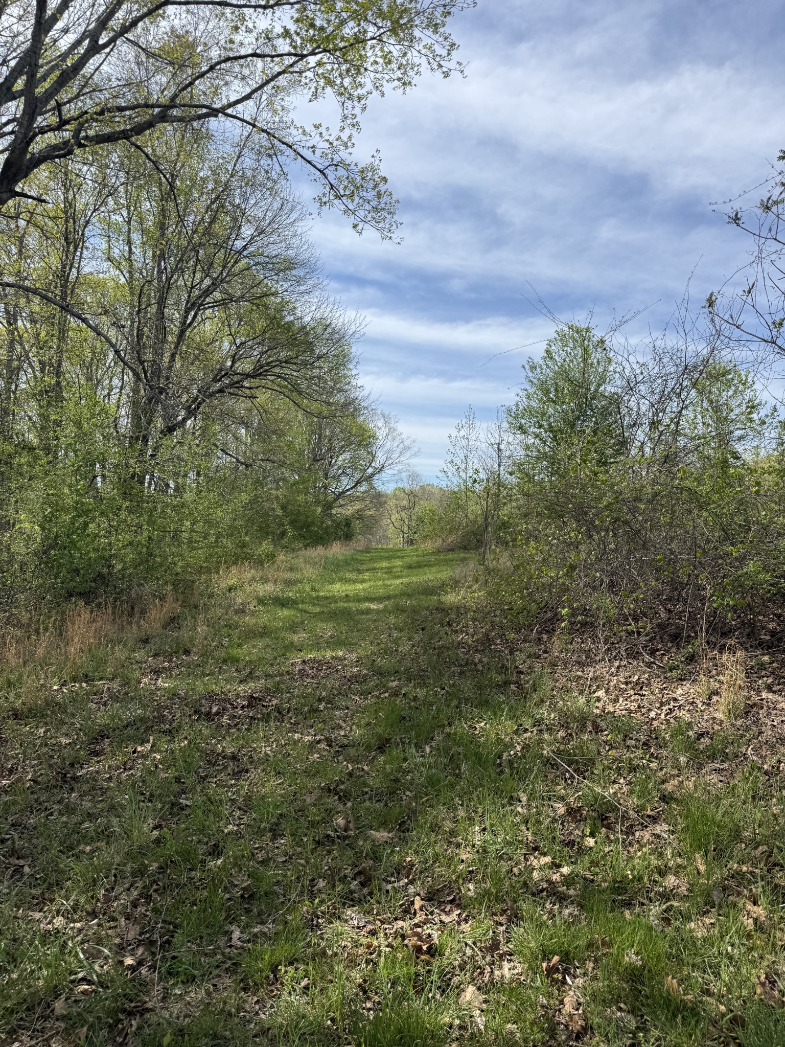 562 Junus Jackson Hollow Rd Property Photo 31