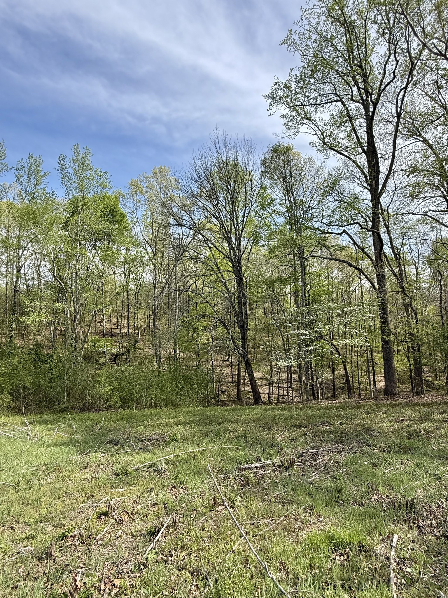 562 Junus Jackson Hollow Rd Property Photo 32